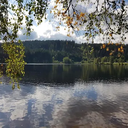 Wunderschoenes Mit Seeblick Holiday home Schluchsee