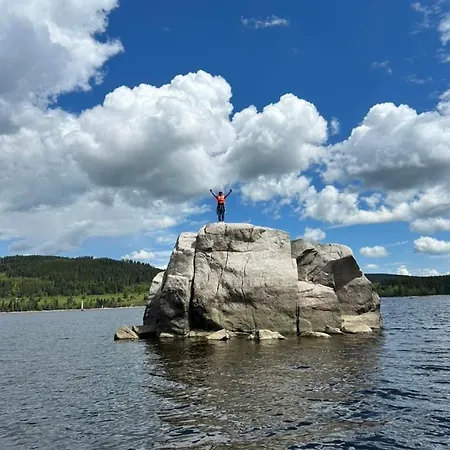 Wunderschoenes Mit Seeblick *