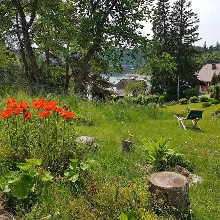 Wunderschoenes Mit Seeblick Schluchsee